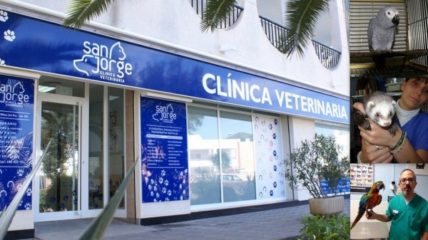 Clinica Veterinaria SAN JORGE    Ctra. Aeropuerto km 3,7  -  Edif. Luisa Oliver 07817   Sant Jordi  -  Ibiza (Eivissa)                    ﻿ Telf.  (+34)  971 396 138 Urgencias 24 h.  608 033 151   